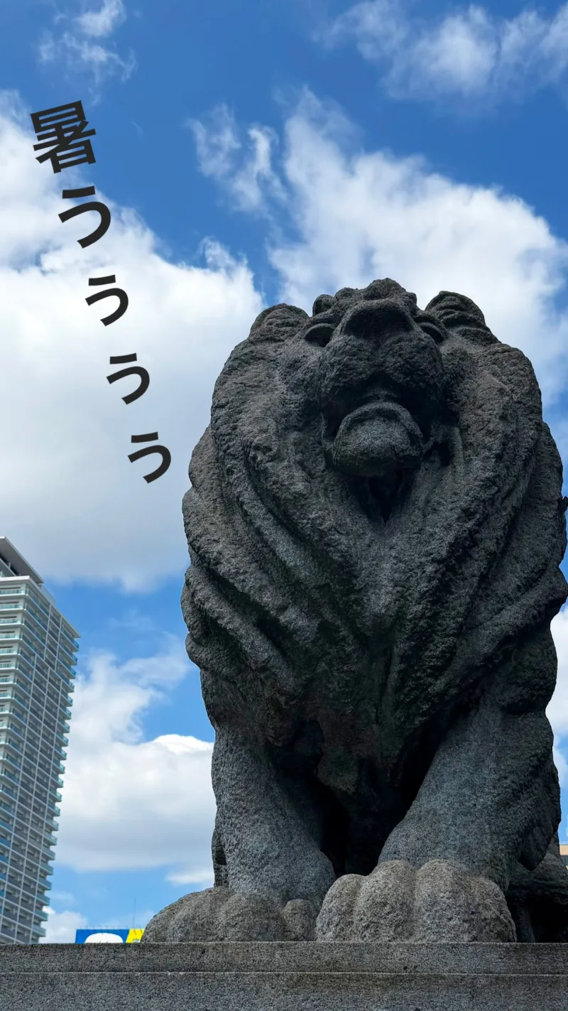 南里沙 / Risa MINAMI 貼文圖片
