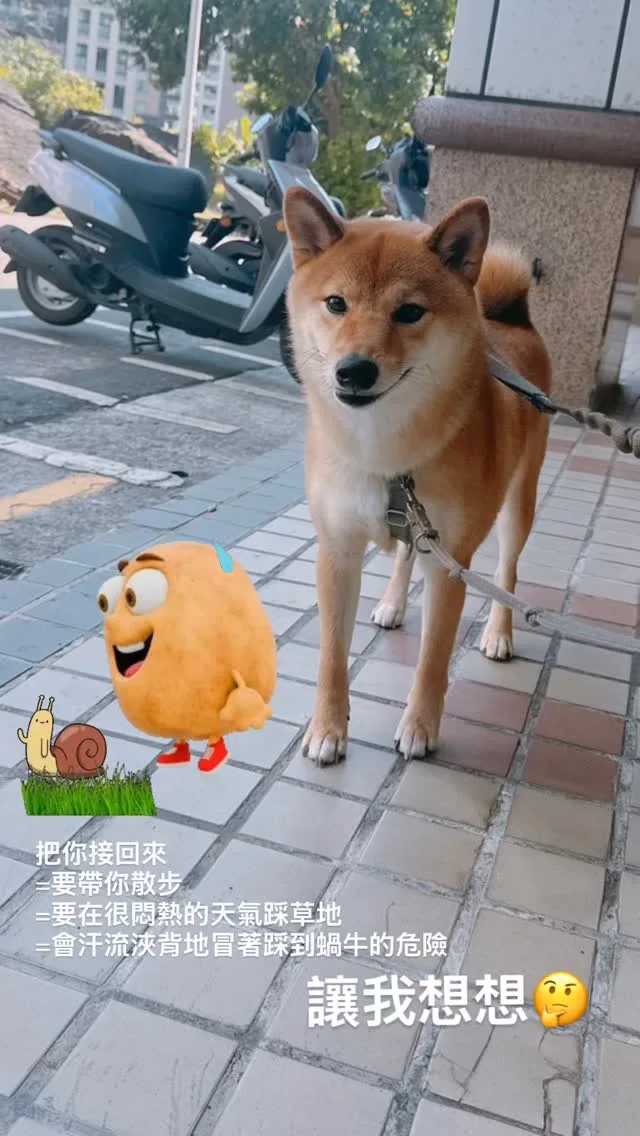 王衍華 貼文圖片