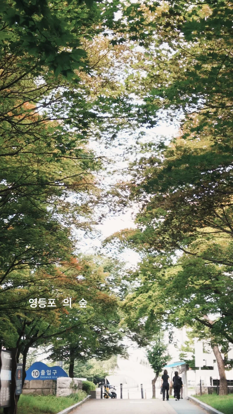 Hsin-Ho 貼文圖片