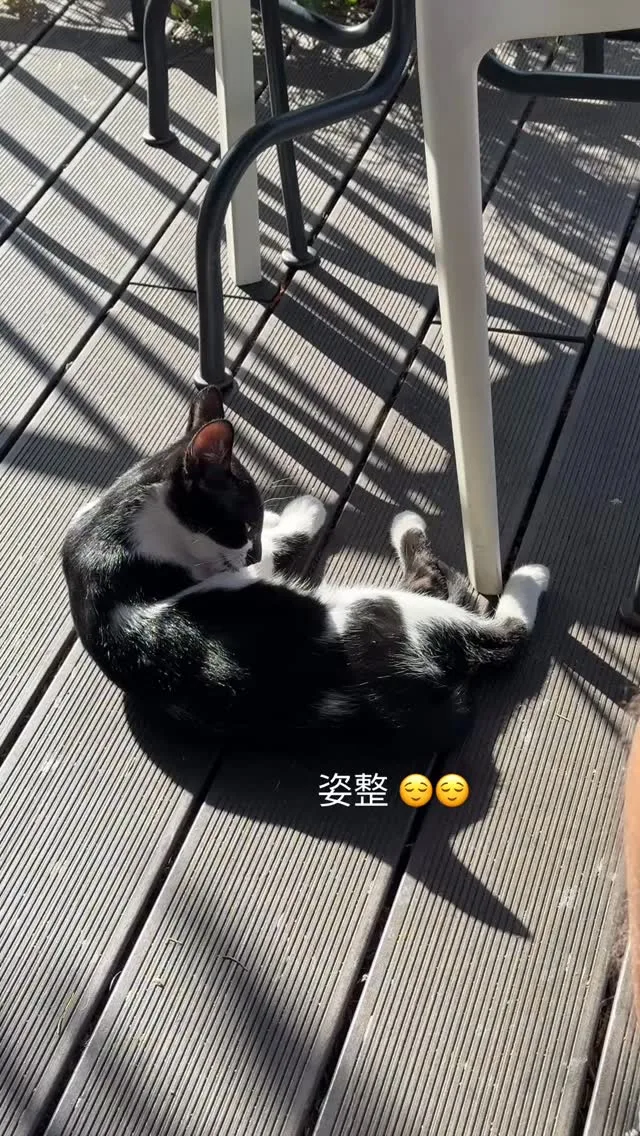 cy_leo 貼文圖片