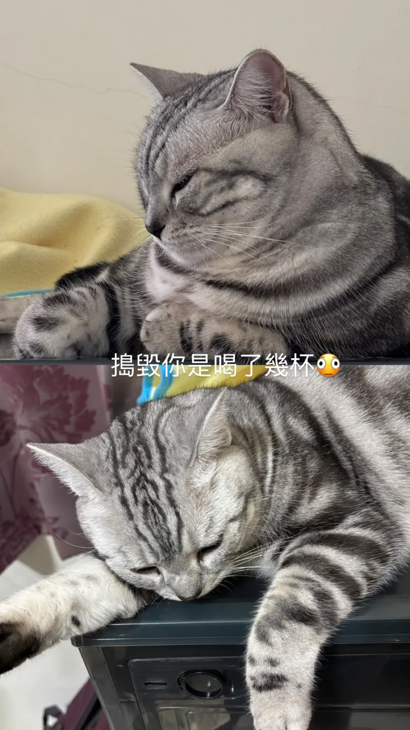 蔡培婷 貼文圖片