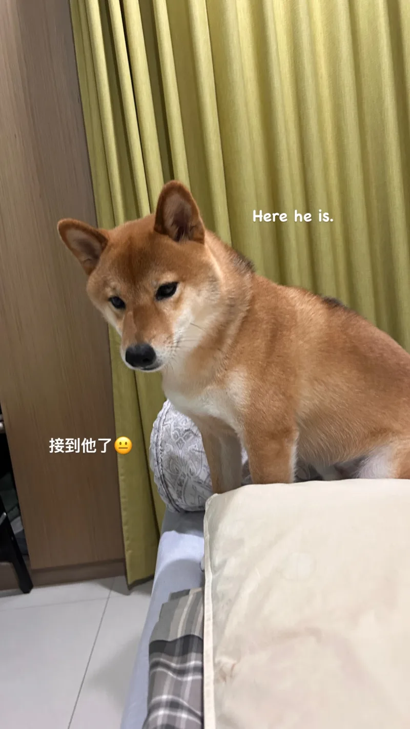 王衍華 貼文圖片