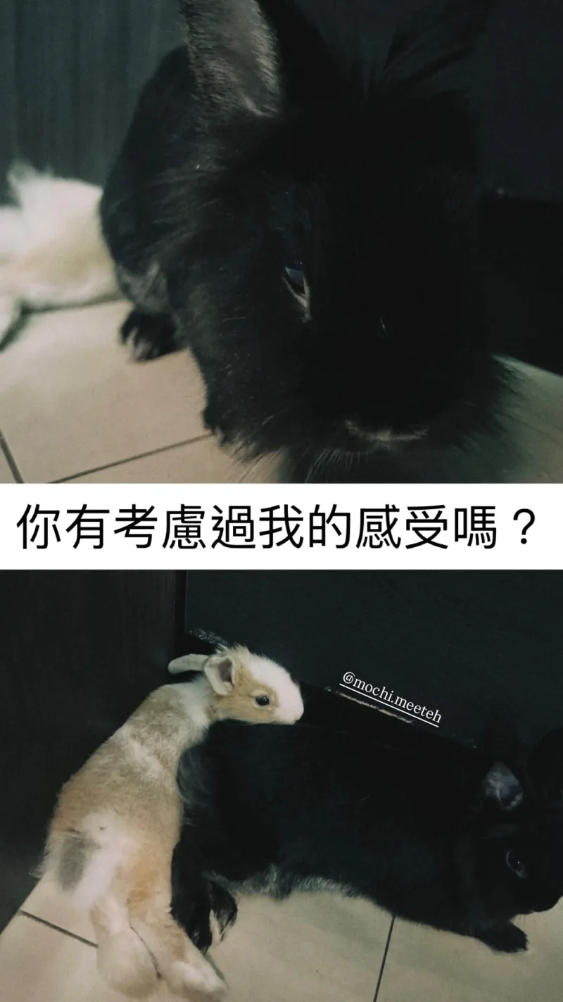 Ming-Hsien Tsai 貼文圖片