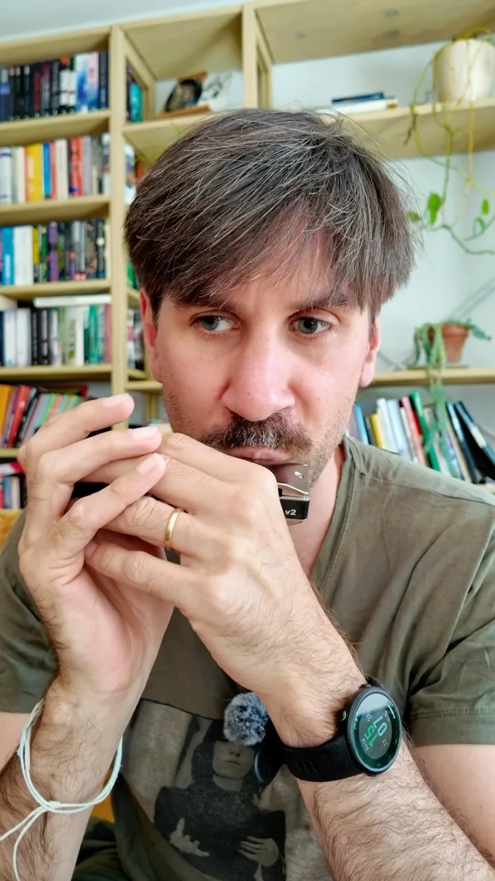 Filip Jers 🎶 Harmonica 貼文圖片