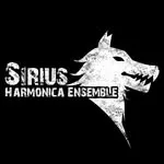 天狼星口琴樂團 Sirius Harmonica Ensemble 頭貼